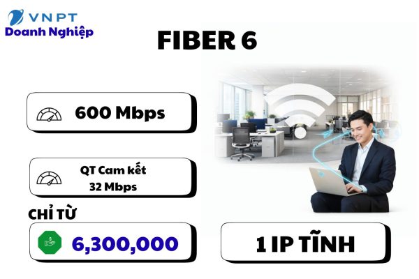 Fiber 6