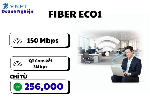Fiber Eco1
