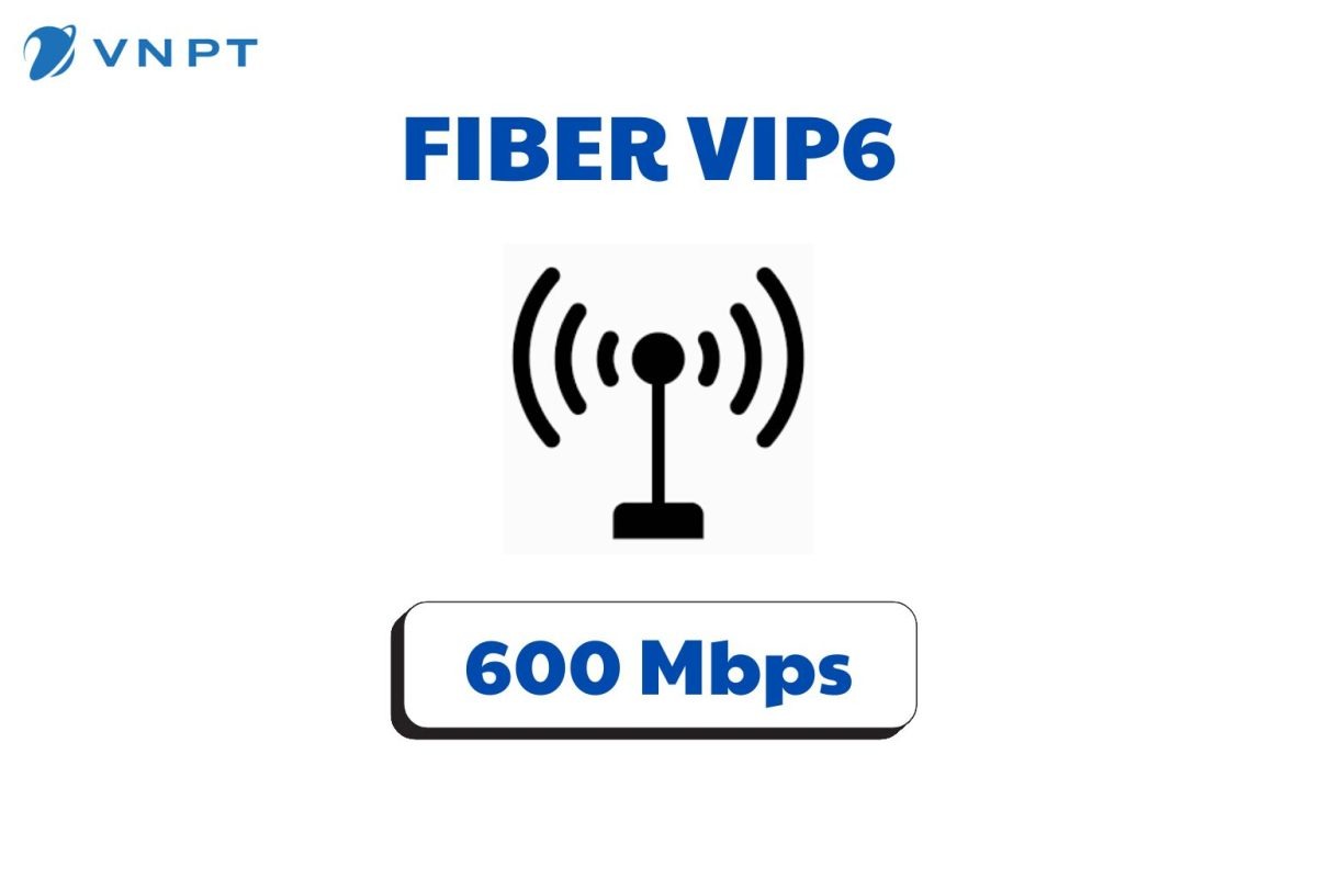 Fiber Vip6