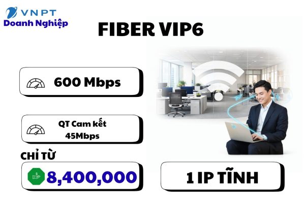 Fiber Vip6