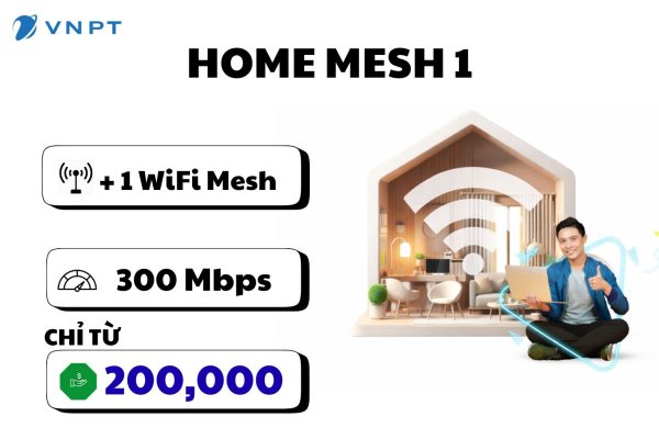 Home Mesh 1