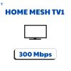Home Mesh Tv1