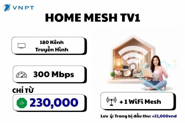 Home Mesh Tv1