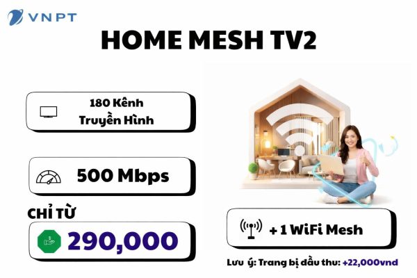 Home Mesh Tv2
