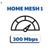 Home Mesh1
