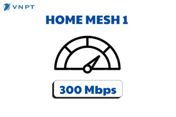 Home Mesh1